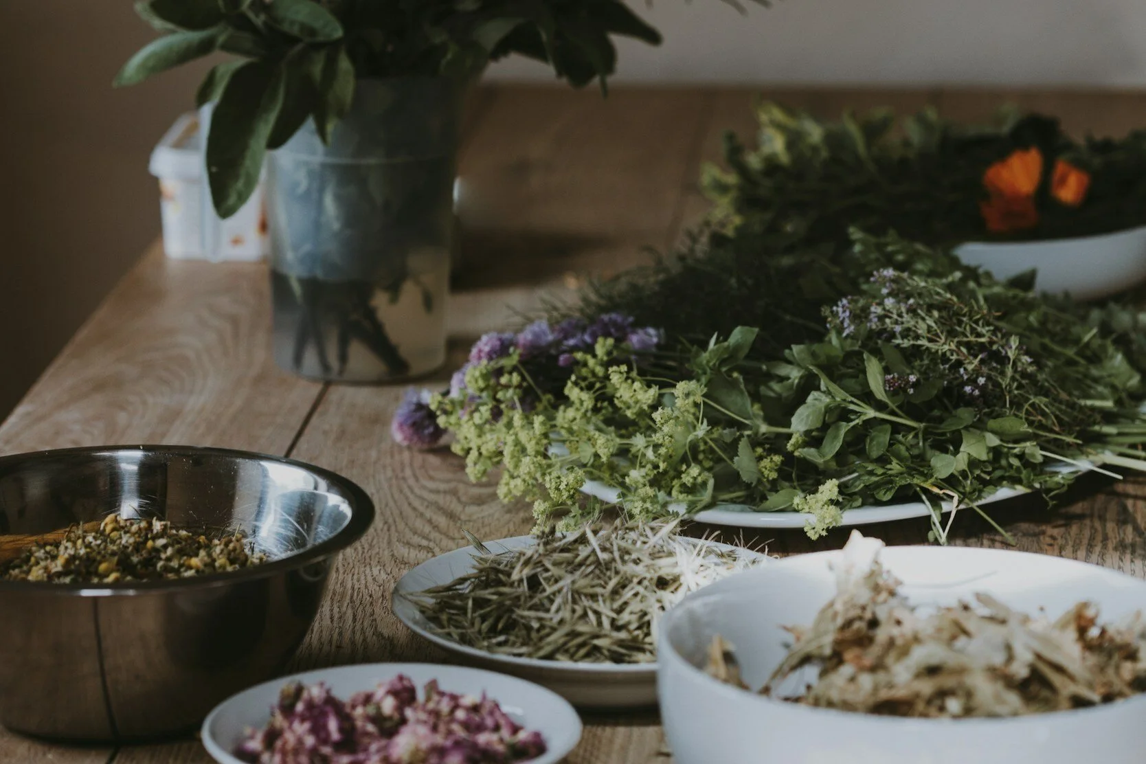 Herbal Products